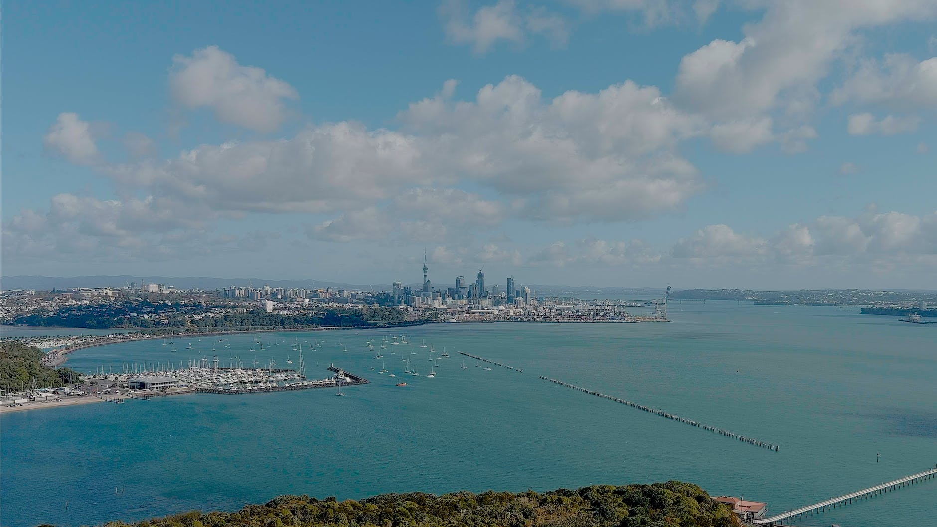 aerial view of Auckland city buildings